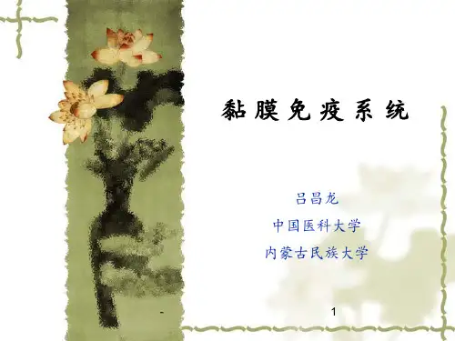 粘膜免疫系统ppt课件