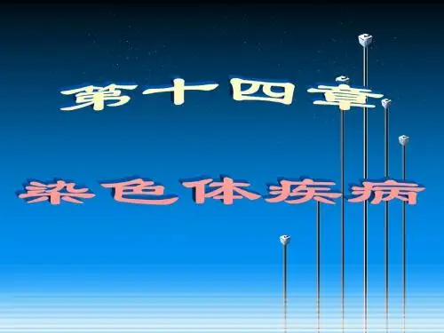 染色体疾病ppt总结