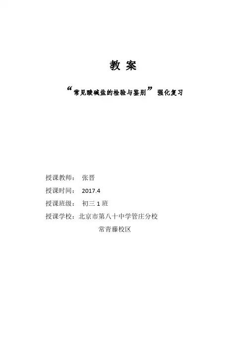 化学人教版九年级下册常见酸碱盐物质的检验与鉴别