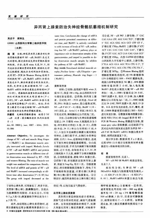 异丙肾上腺素防治失神经骨骼肌萎缩机制研究