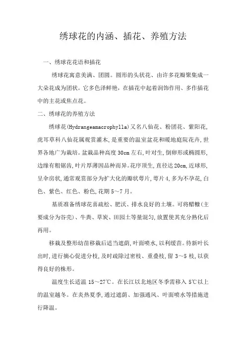 绣球花的内涵、插花、养殖方法