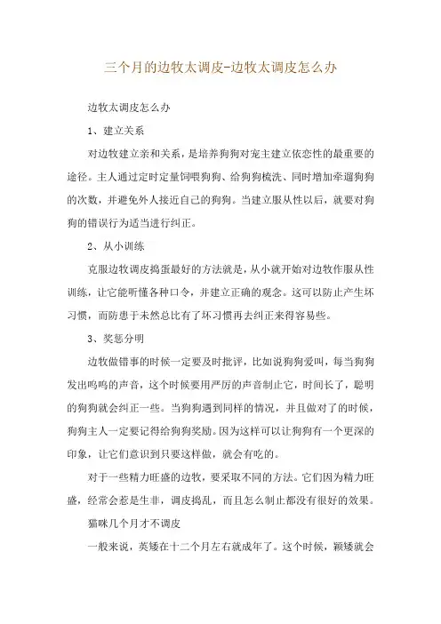 三个月的边牧太调皮-边牧太调皮怎么办