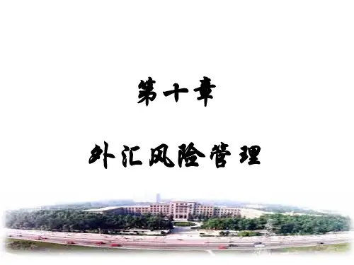 外汇风险管理培训教材(PPT 58页)