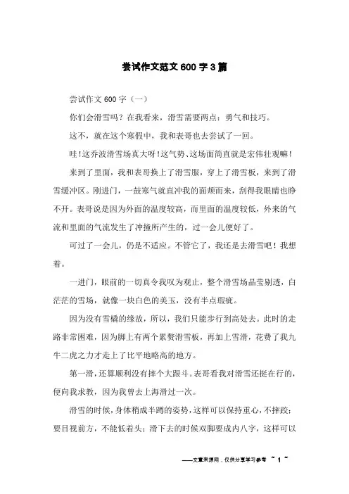 尝试作文范文600字3篇