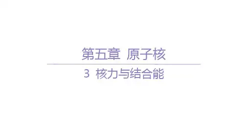 人教版高中物理选择性必修第三册精品课件 第五章 原子核 3 核力与结合能