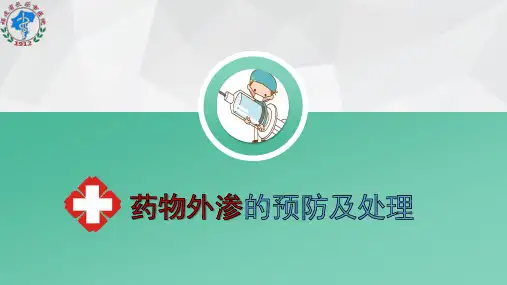 药物外渗的预防与处理ppt课件