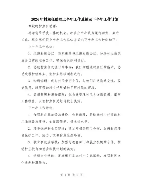 2024年村主任助理上半年工作总结及下半年工作计划