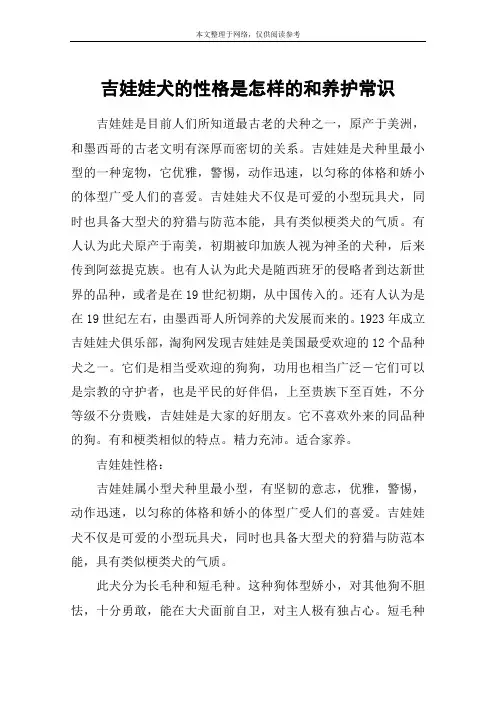 吉娃娃犬的性格是怎样的和养护常识