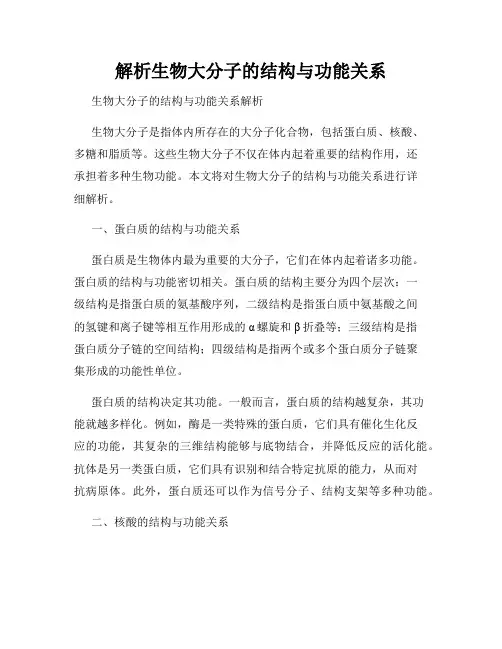 解析生物大分子的结构与功能关系