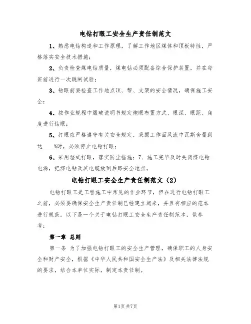 电钻打眼工安全生产责任制范文（3篇）