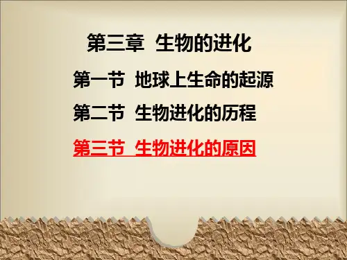 生物进化的原因 (PPT课件)