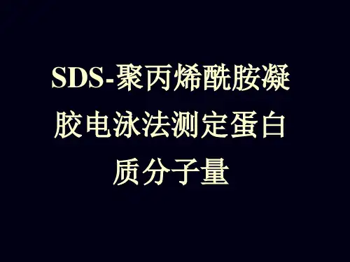 (生物化学)SDS-聚丙烯酰胺凝胶电泳法测定蛋白质分子量