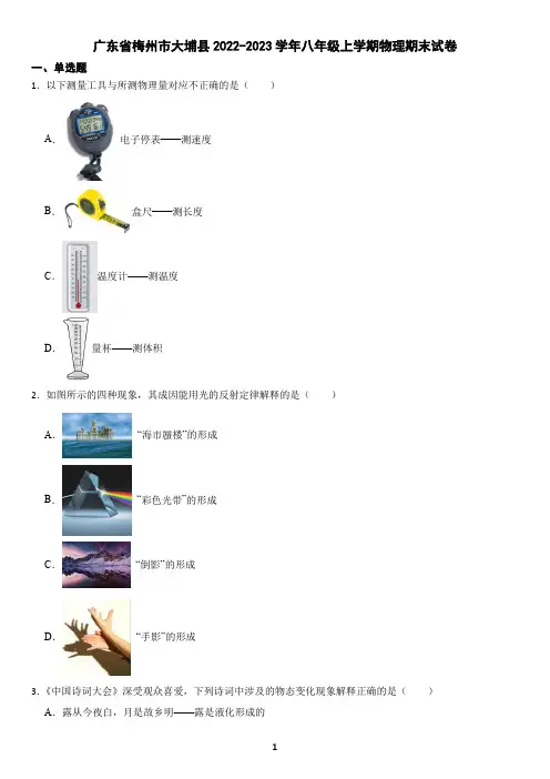 广东省梅州市大埔县2022-2023学年八年级上学期物理期末试卷(含答案)