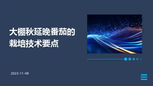 大棚秋延晚番茄的栽培技术要点