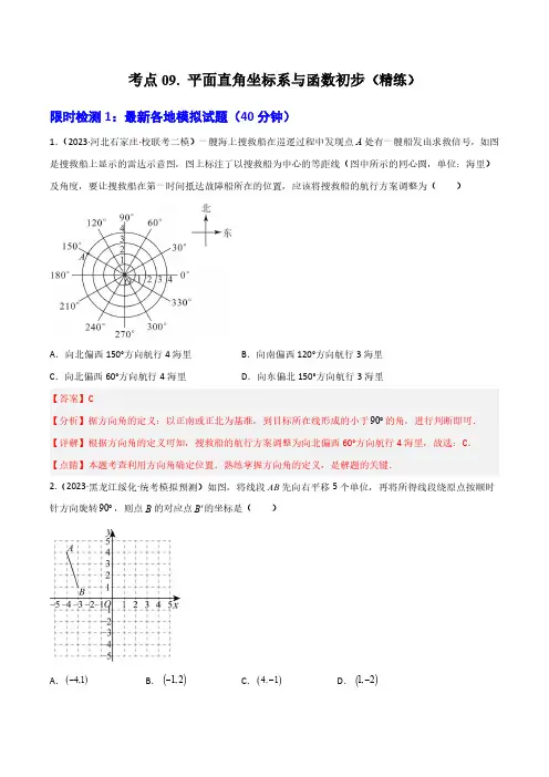 考点09 平面直角坐标系与函数初步(精练)(解析版)