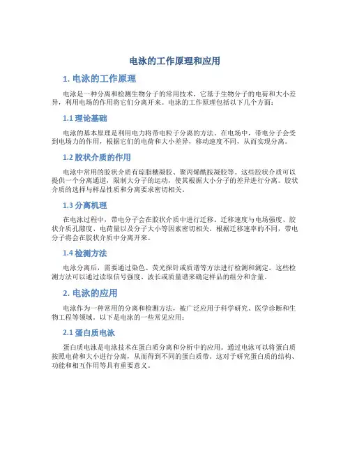 电泳的工作原理和应用