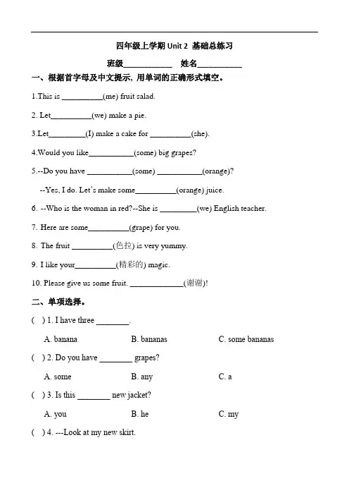 四年级英语上学期 Unit 2基础总练习-译林版三起(含答案)