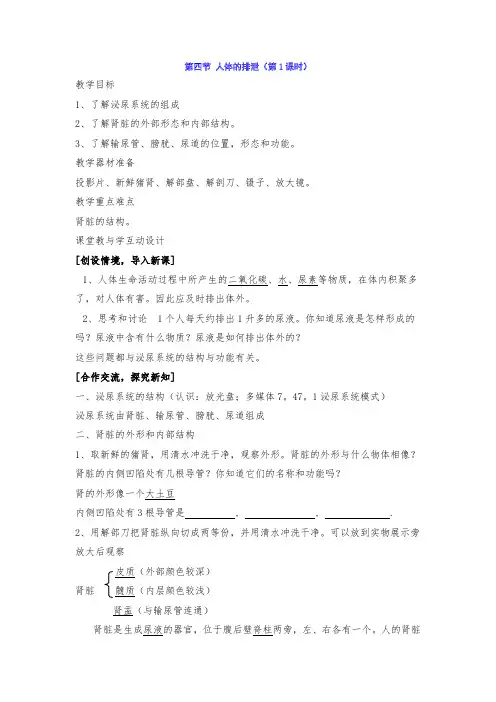 5 人体的排泄 教案华东师大版八年级科学上册