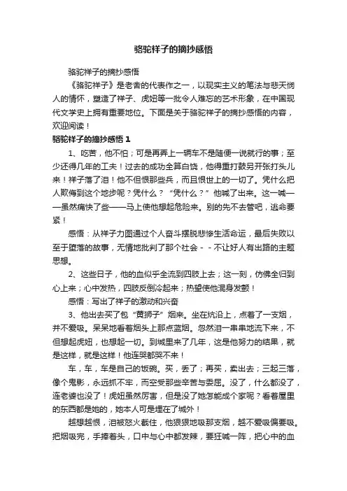 骆驼祥子的摘抄感悟