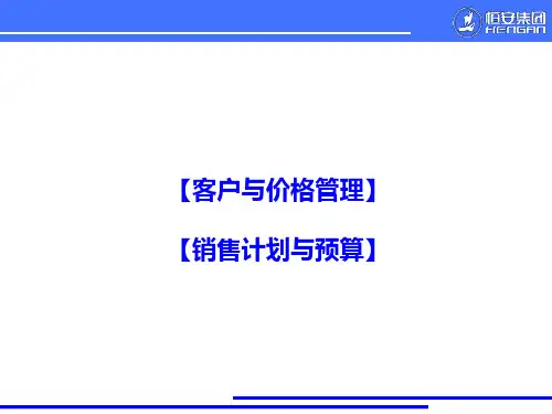 恒安集团销售分销系统培训手册介绍