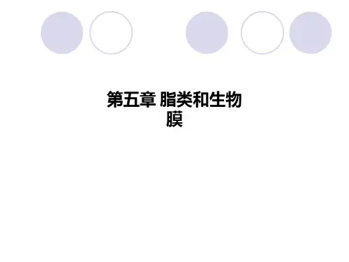 第五章-脂类和生物膜PPT课件
