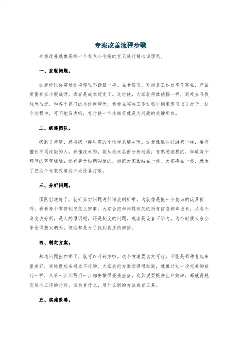 专案改善流程步骤