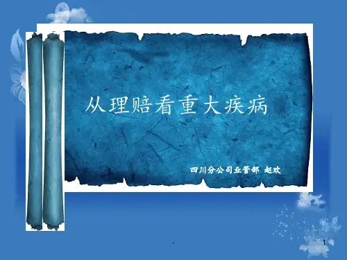 保险大病保险PPT课件