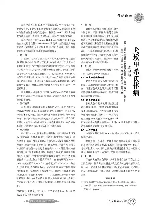 犬埃里希氏体病