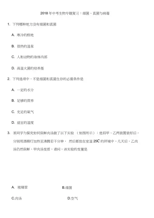 中考生物专题复习考试细菌真菌与病毒(附答案)
