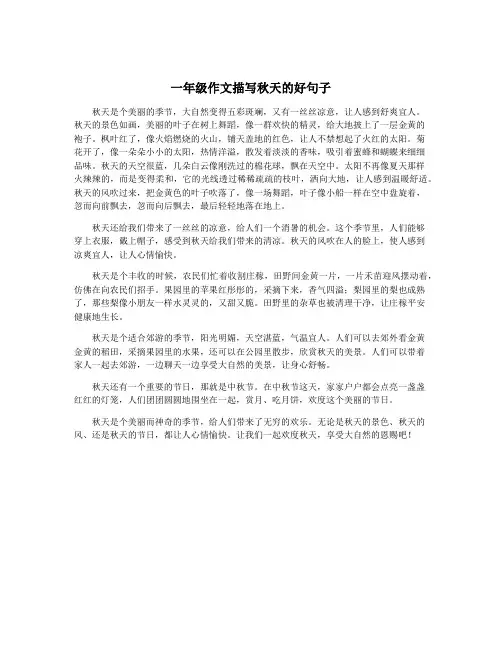 一年级作文描写秋天的好句子