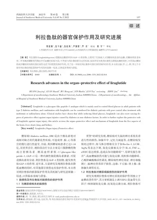 利拉鲁肽的器官保护作用及研究进展