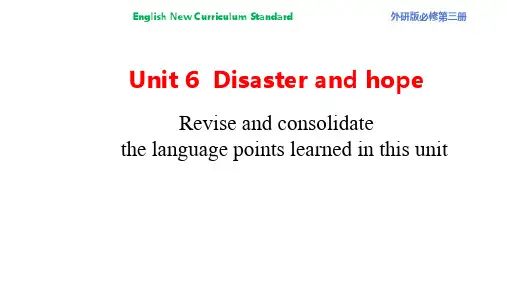 外研社高中英语必修第三册Unit 6 Disaster and hope Review 课件(1)