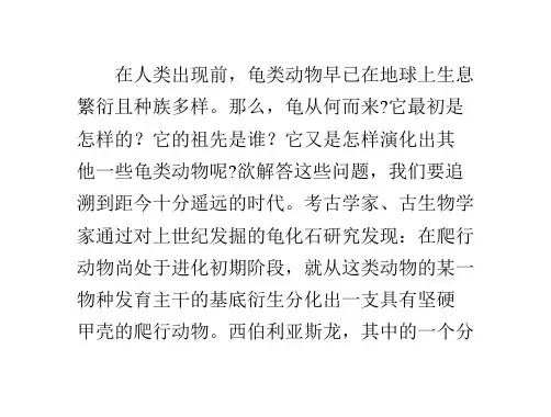爬虫动物进化史——龟鳖的演化