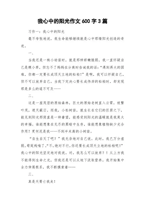 我心中的阳光作文600字3篇_作文