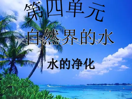 2020_2021学年人教版化学九年级上册 4.2 水的净化 课件 