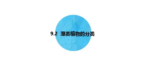 第九章藻类植物的分类