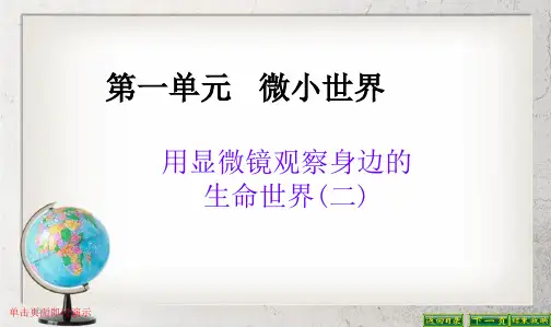 教科版小学六年级科学下册一6用显微镜观察身边的生命世界二PPT课件