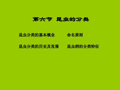 昆虫分类的基本概念ppt课件