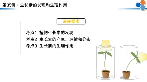 2023届高三生物一轮复习课件：35+生长素的发现和生理作用