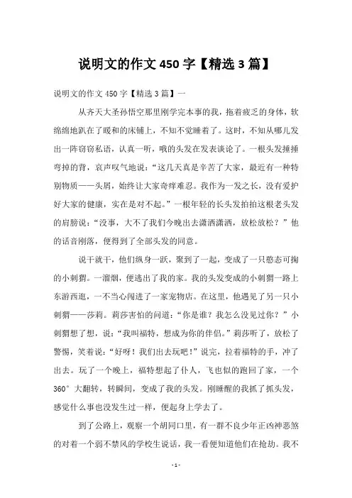 说明文的作文450字【3篇】