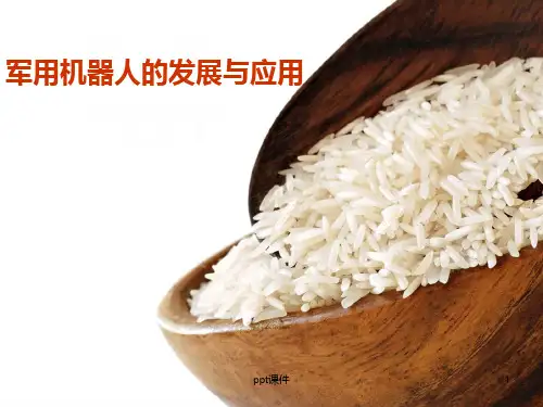军用机器人的发展与应用  ppt课件
