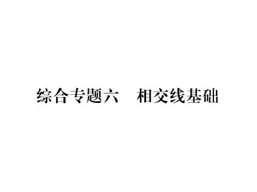 秋七年级数学华师大上册课件：期末复习攻略 综合专题六(共21张PPT)