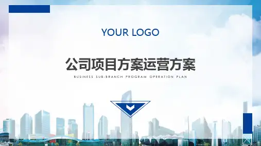 公司项目方案运营方案PPT教学模板