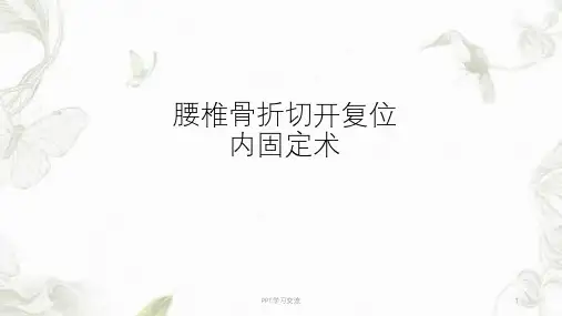 腰椎骨折切开复位内固定术PPT课件