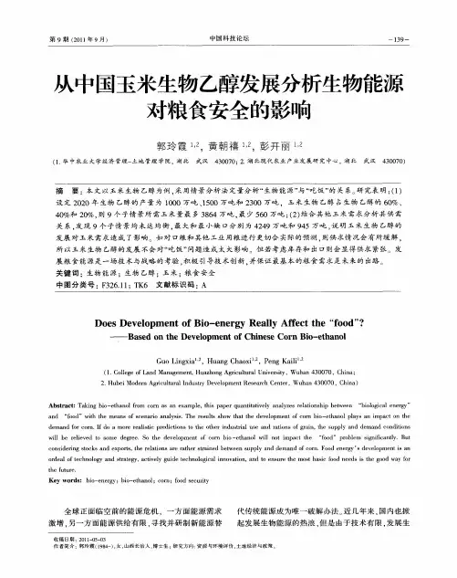 从中国玉米生物乙醇发展分析生物能源对粮食安全的影响