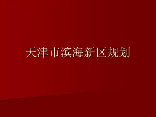 天津市滨海新区规划 优质课件