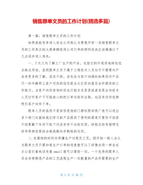 销售跟单文员的工作计划(精选多篇)