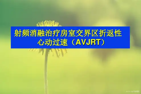 射频治疗室上速PPT课件