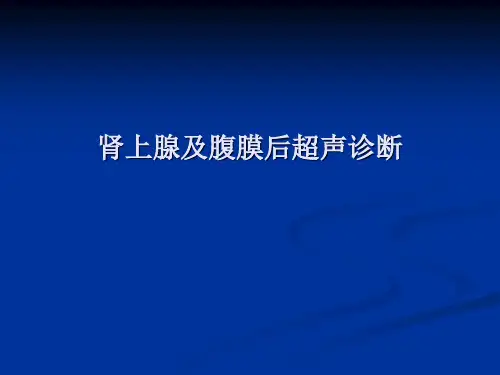 超声诊断学课件：肾上腺及腹膜后超声诊断
