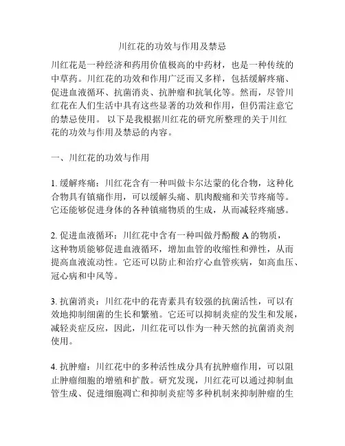 川红花的功效与作用及禁忌